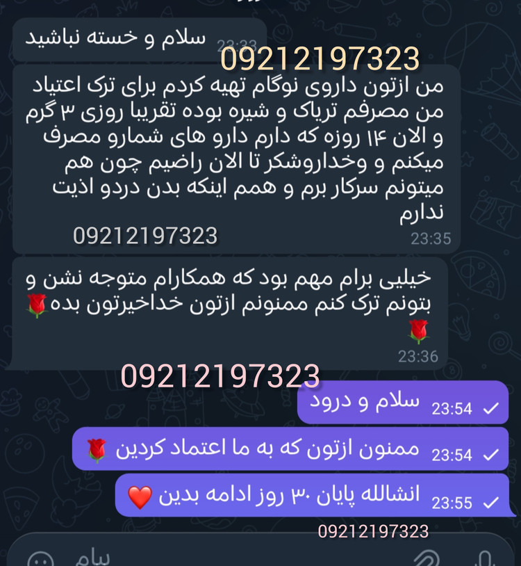 پک گیاهی گیاهی نوگام (برای 2 عدد ب 2 ) 30 روزه قوی