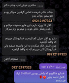 پک گیاهی گیاهی نوگام (برای 2 عدد ب 2 ) 30 روزه قوی